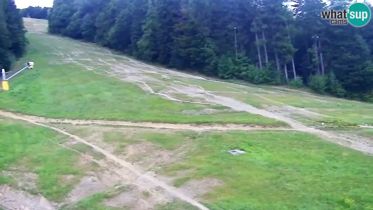 Web kamera Pohorje Trikotna Jasa | Poštela