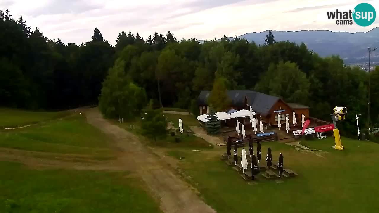 Spletna Kamera Pohorje Trikotna Jasa | Poštela
