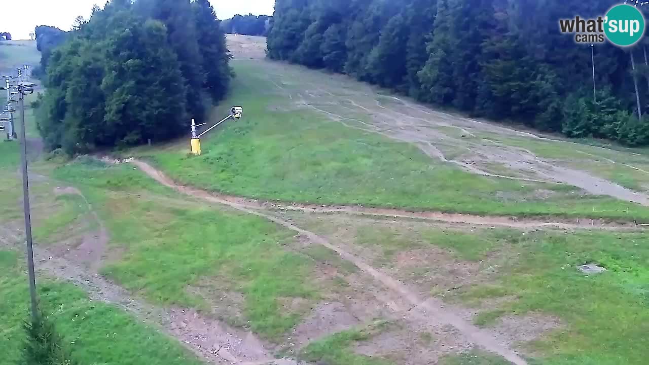 Spletna Kamera Pohorje Trikotna Jasa | Poštela