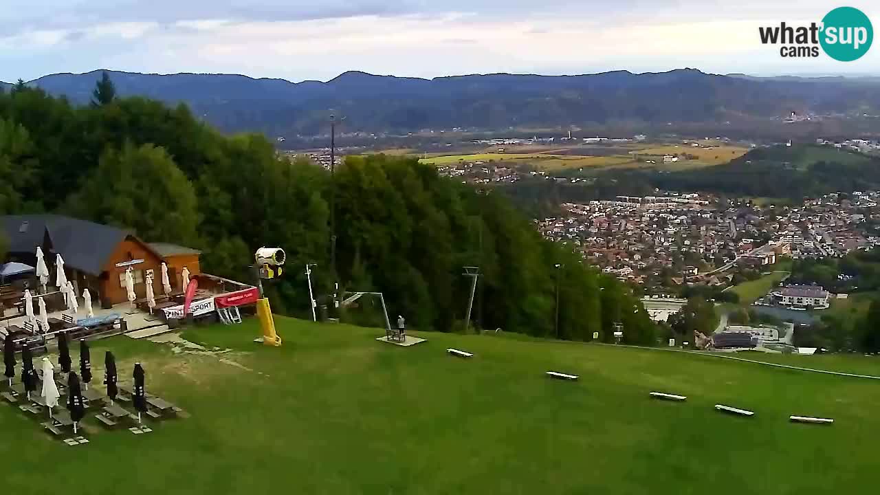 Web Camera Pohorje Trikotna Jasa | Poštela