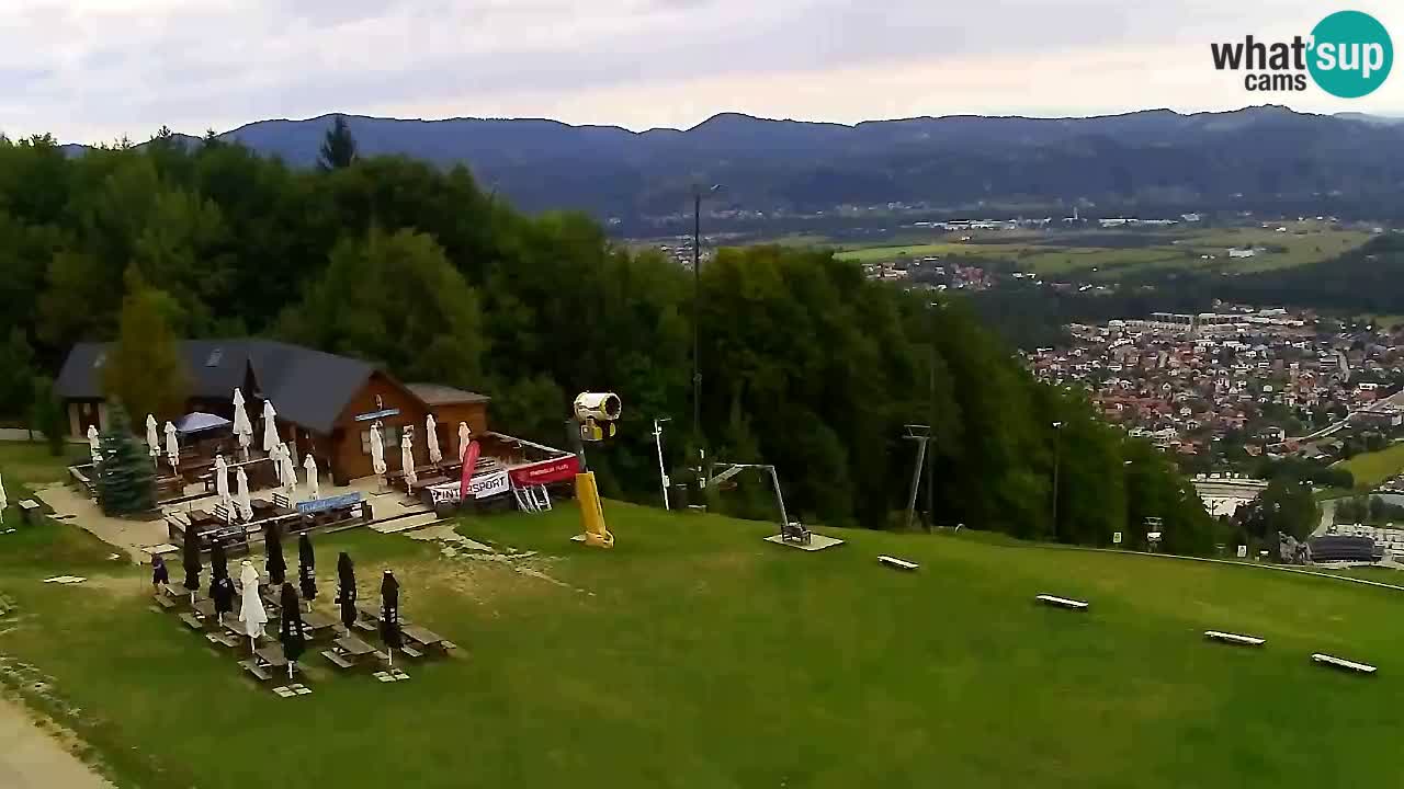 Webcam Pohorje Trikotna Jasa | Poštela