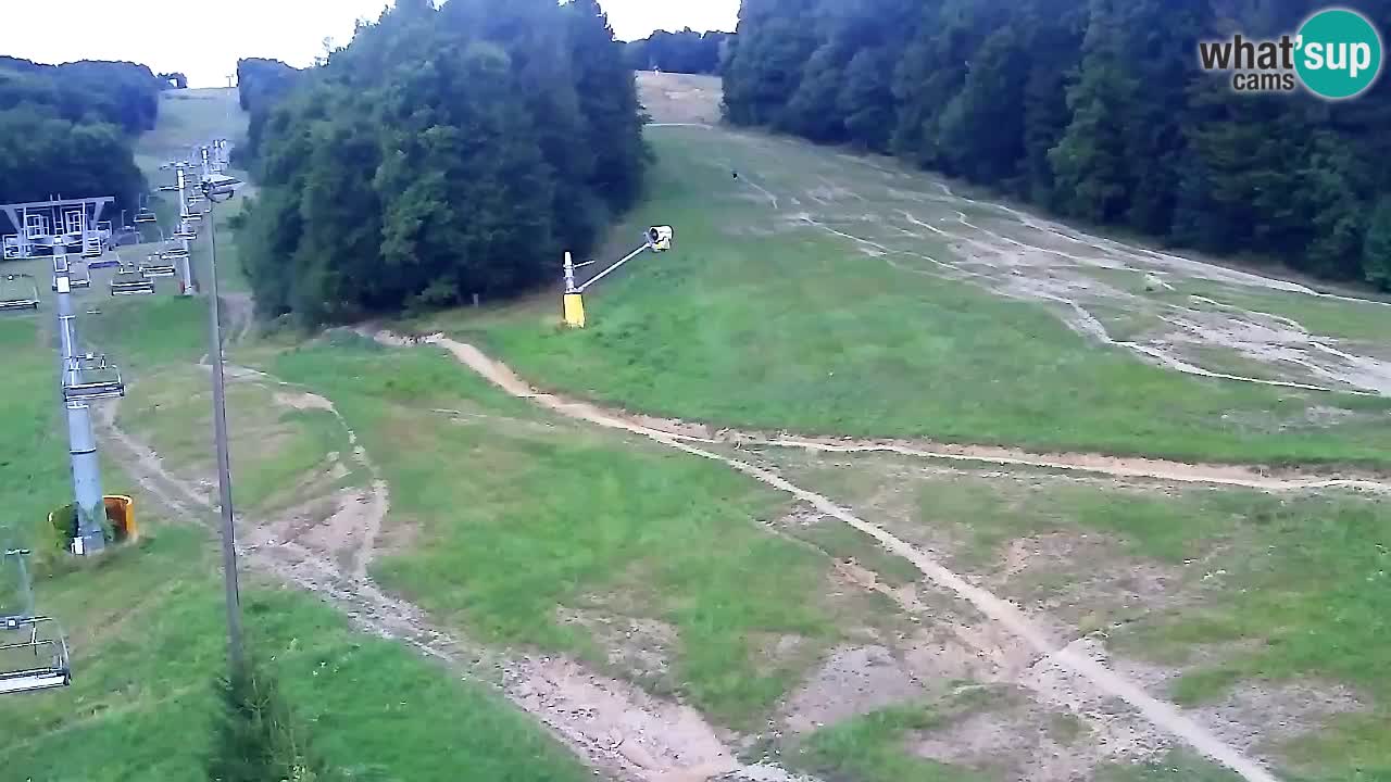 Web Camera Pohorje Trikotna Jasa | Poštela