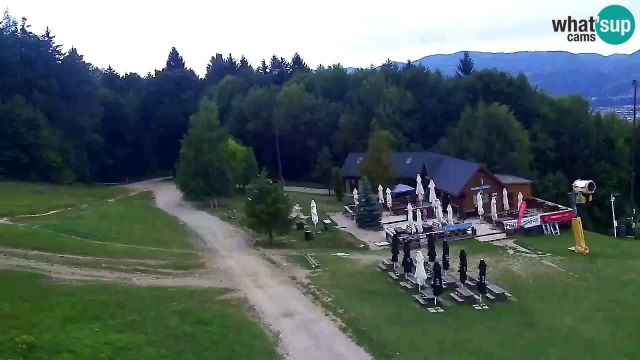 Web kamera Pohorje Trikotna Jasa | Poštela