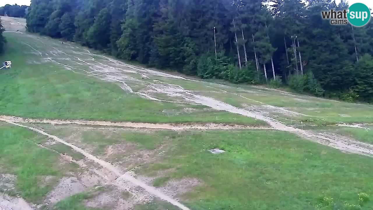 Web kamera Pohorje Trikotna Jasa | Poštela