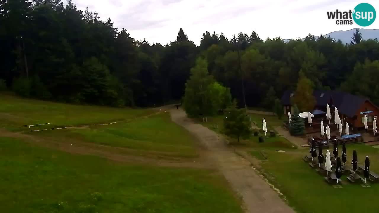 Webcam Pohorje Trikotna Jasa | Poštela