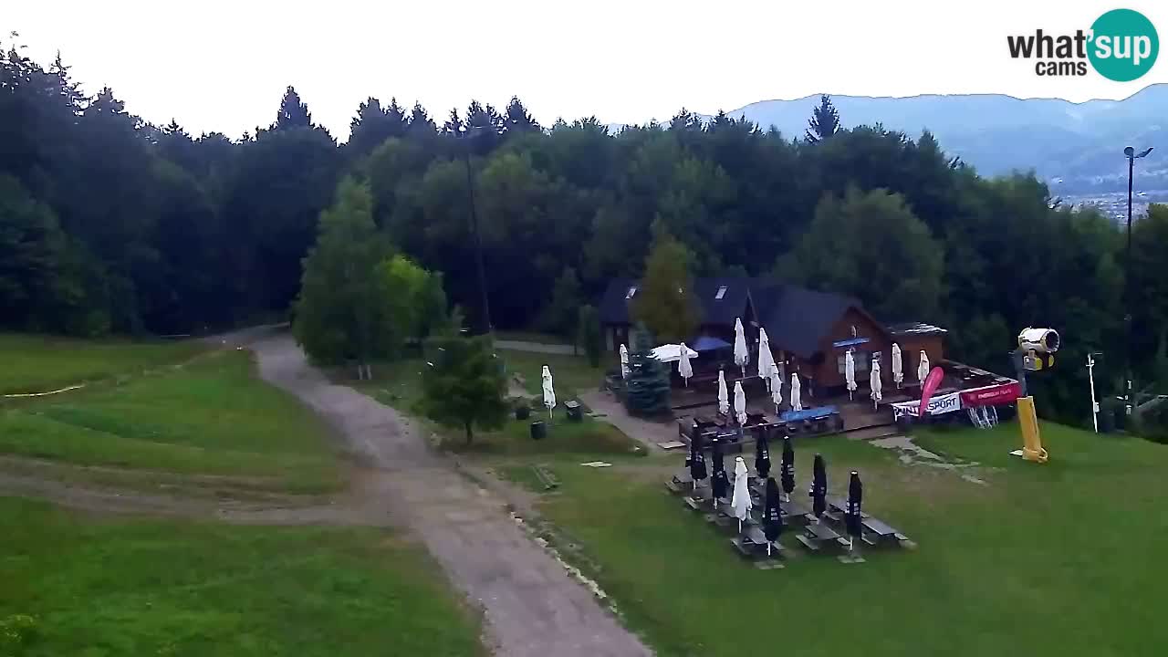 Web Camera Pohorje Trikotna Jasa | Poštela