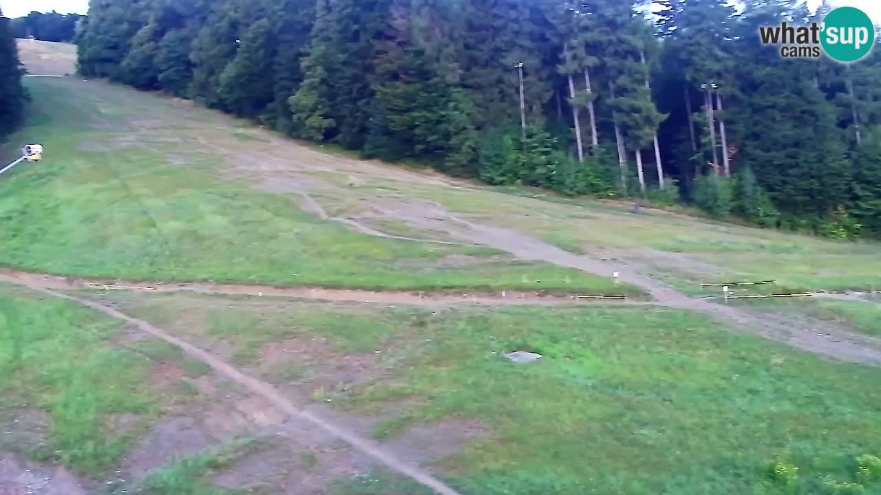 Web kamera Pohorje Trikotna Jasa | Poštela