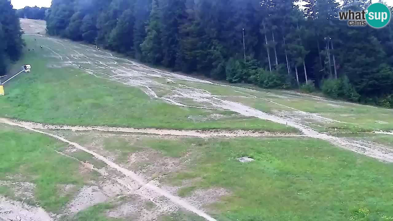Web Camera Pohorje Trikotna Jasa | Poštela
