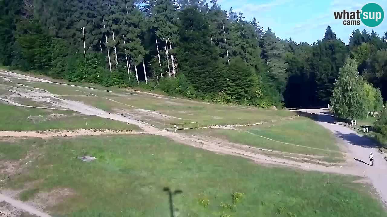Webcam Pohorje Trikotna Jasa | Poštela