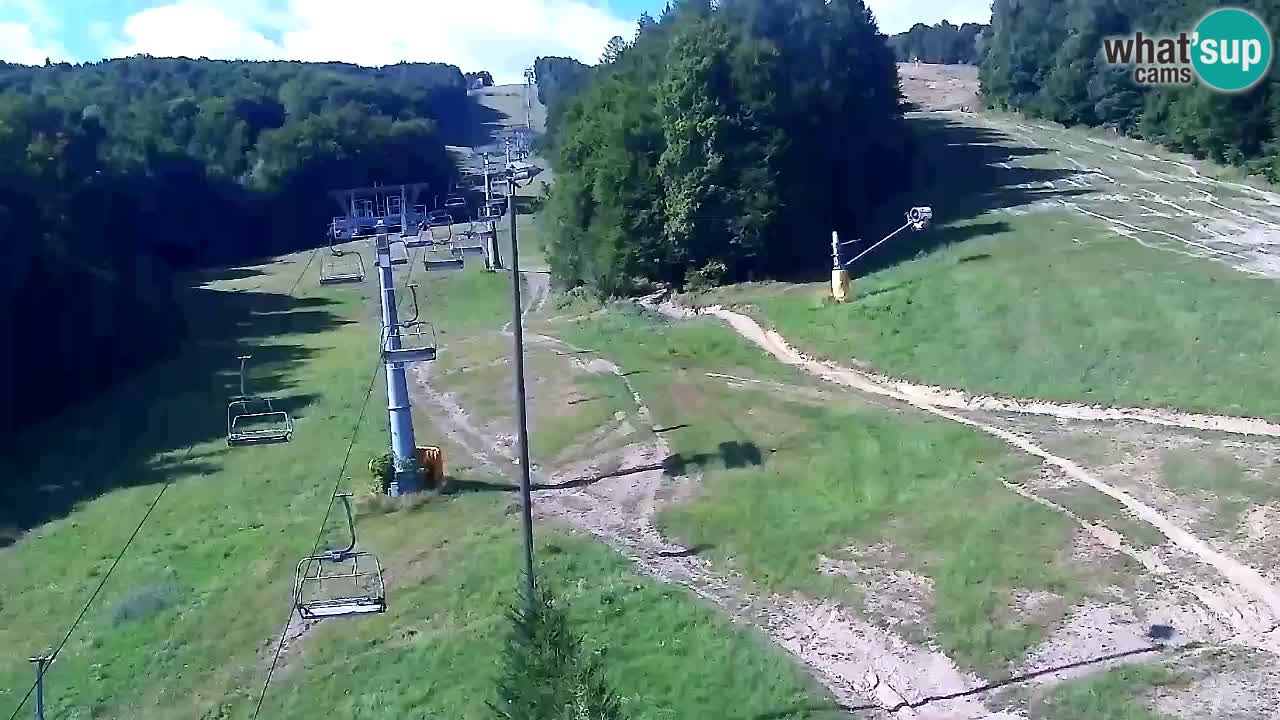 Web Camera Pohorje Trikotna Jasa | Poštela