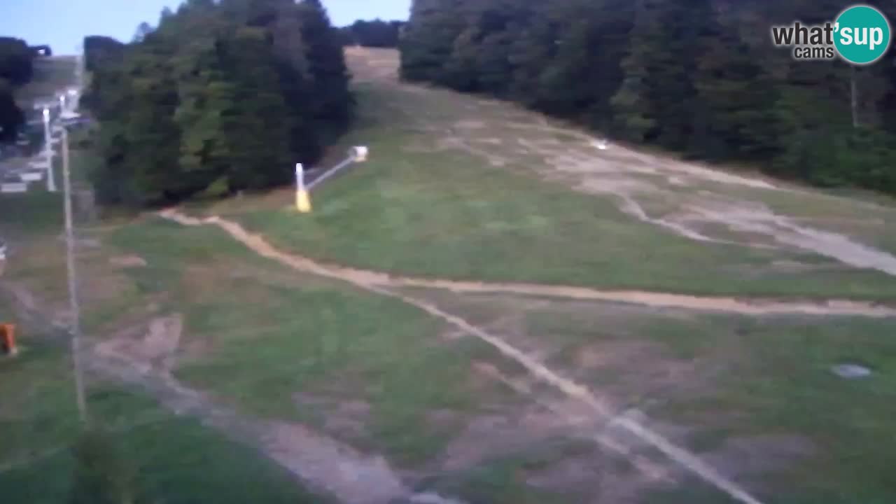 Webcam Pohorje Trikotna Jasa | Poštela