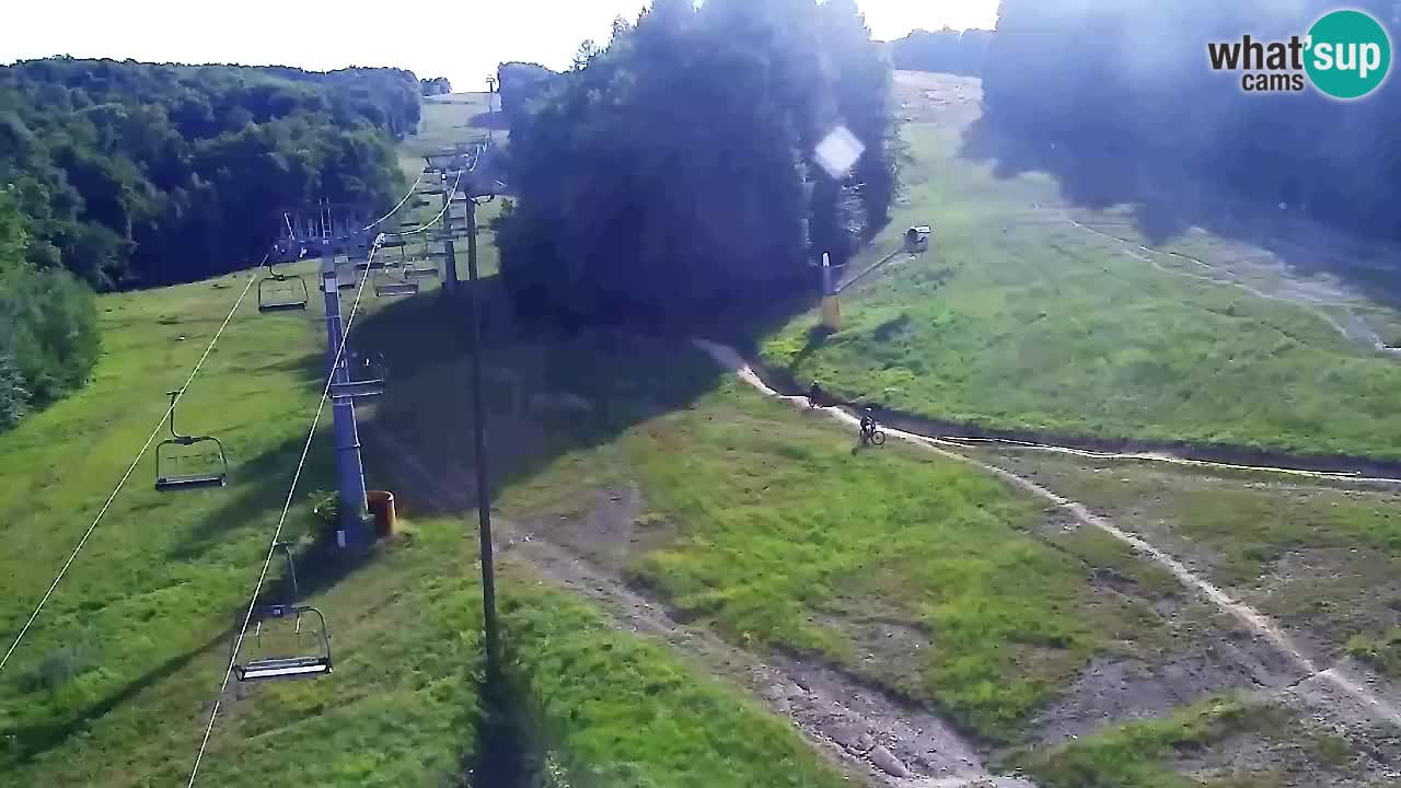 Webcam Pohorje Trikotna Jasa | Poštela