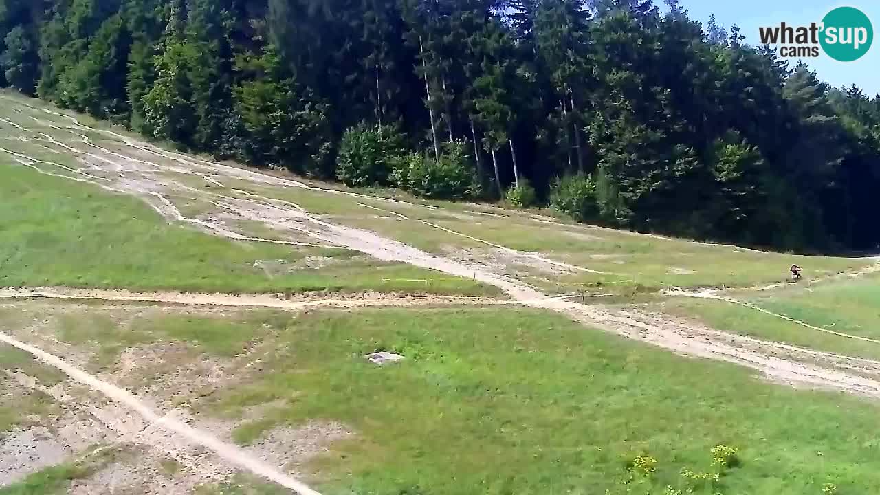 Webcam Pohorje Trikotna Jasa | Poštela