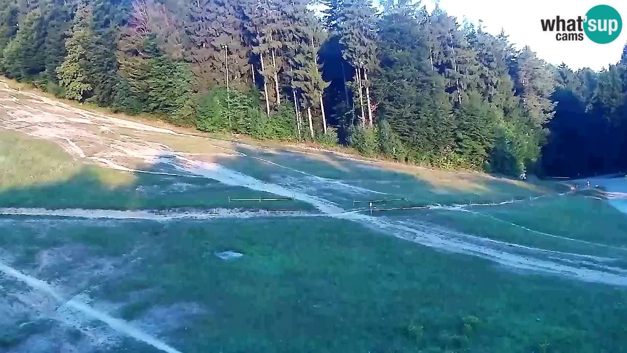 Webcam Pohorje Trikotna Jasa | Poštela