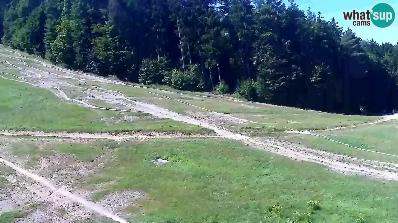 Web kamera Pohorje Trikotna Jasa | Poštela
