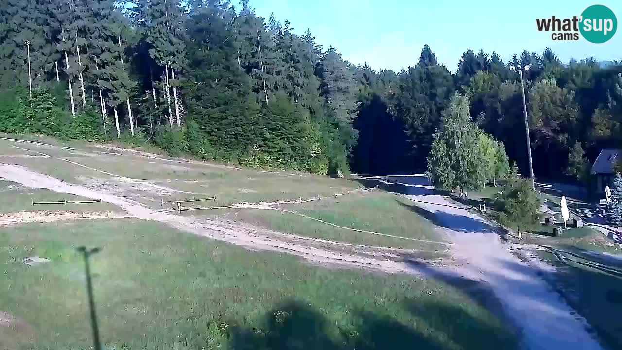 Webcam Pohorje Trikotna Jasa | Poštela