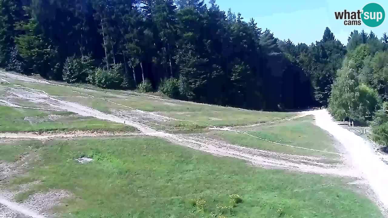 Webcam Pohorje Trikotna Jasa | Poštela