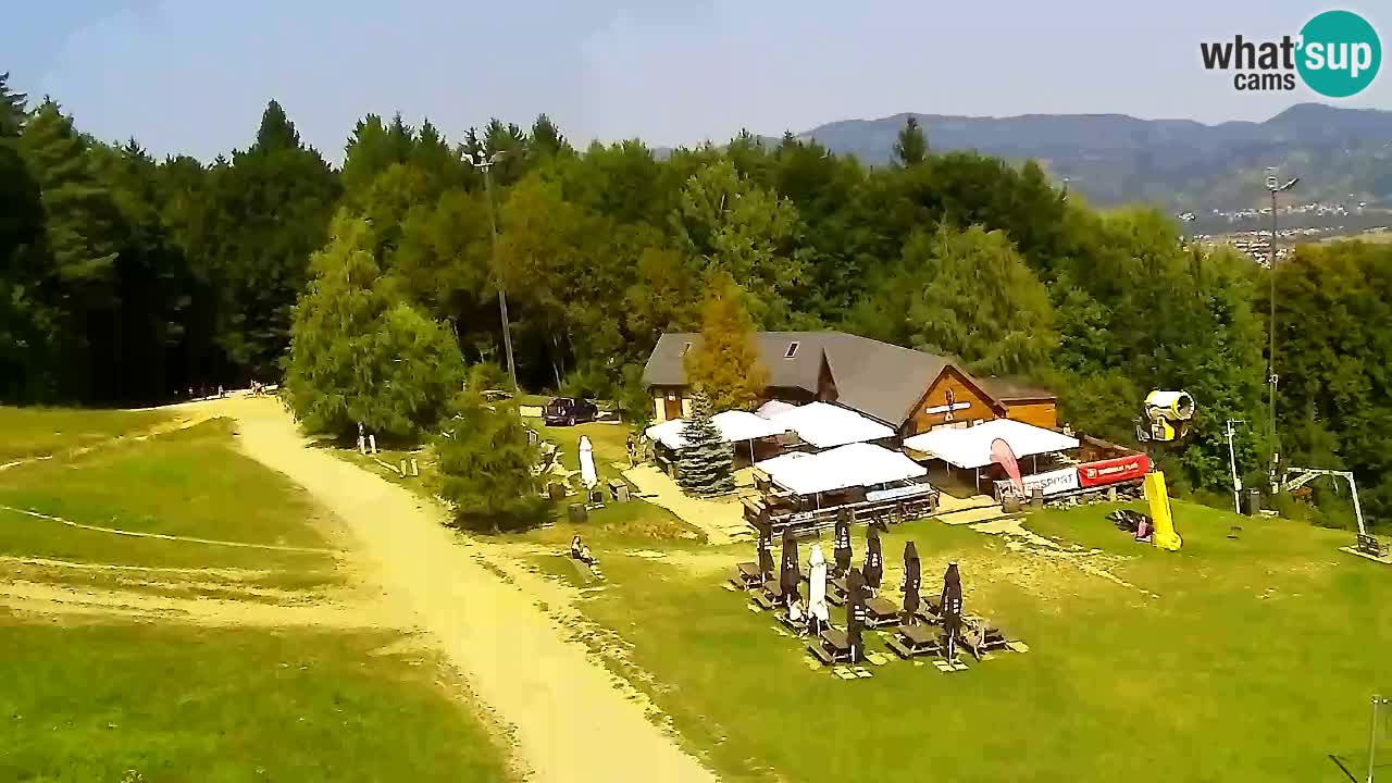 Webcam Pohorje Trikotna Jasa | Poštela