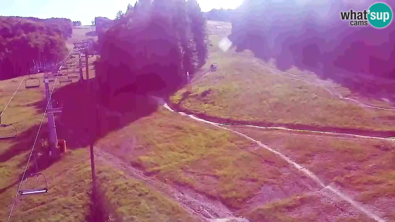 Webcam Pohorje Trikotna Jasa | Poštela