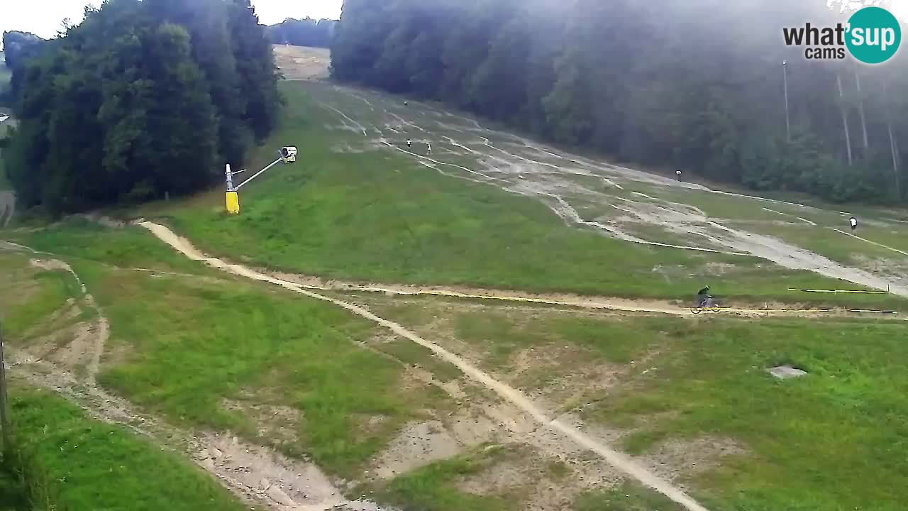Webcam Pohorje Trikotna Jasa | Poštela