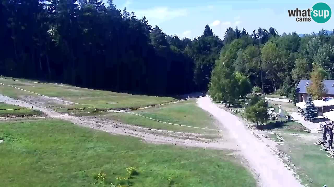 Webcam Pohorje Trikotna Jasa | Poštela