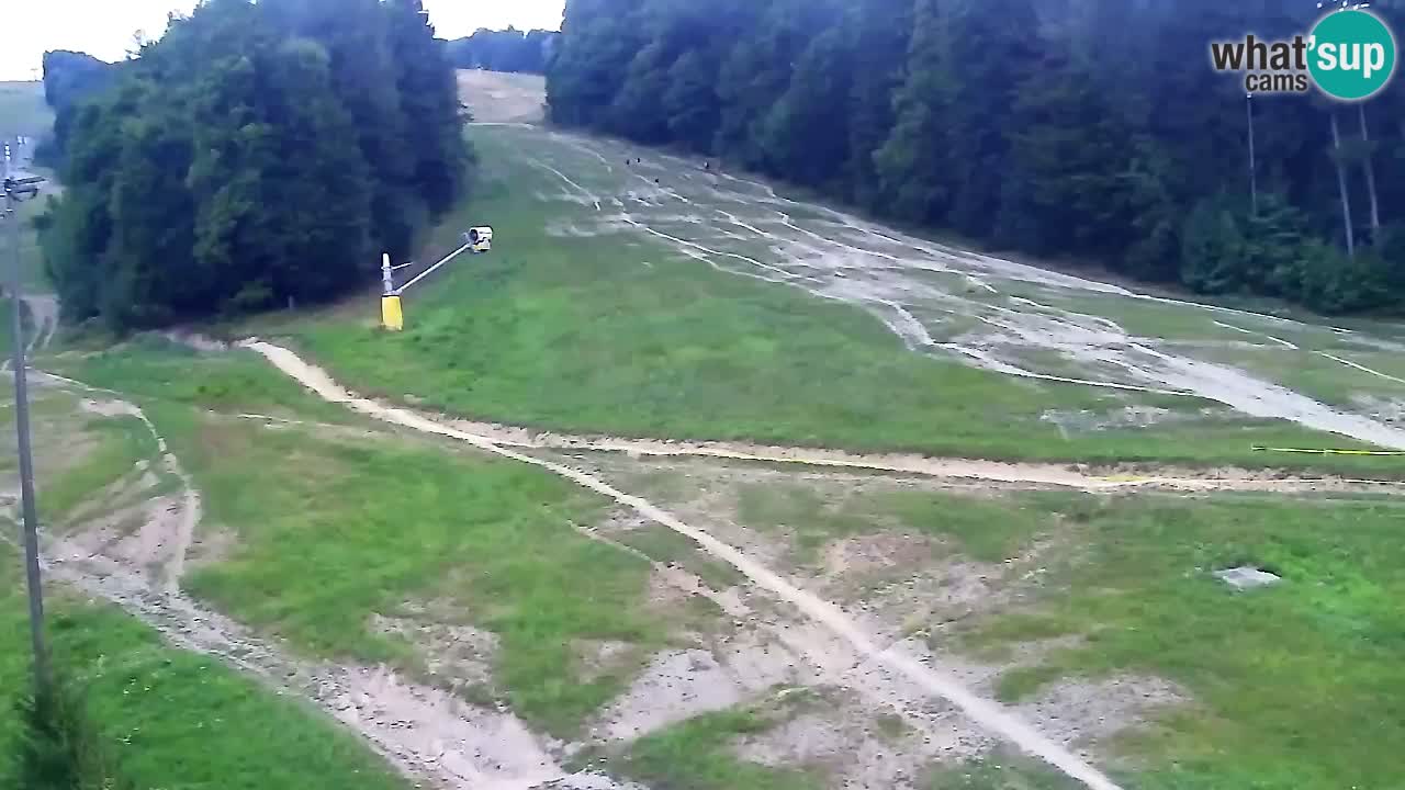 Webcam Pohorje Trikotna Jasa | Poštela