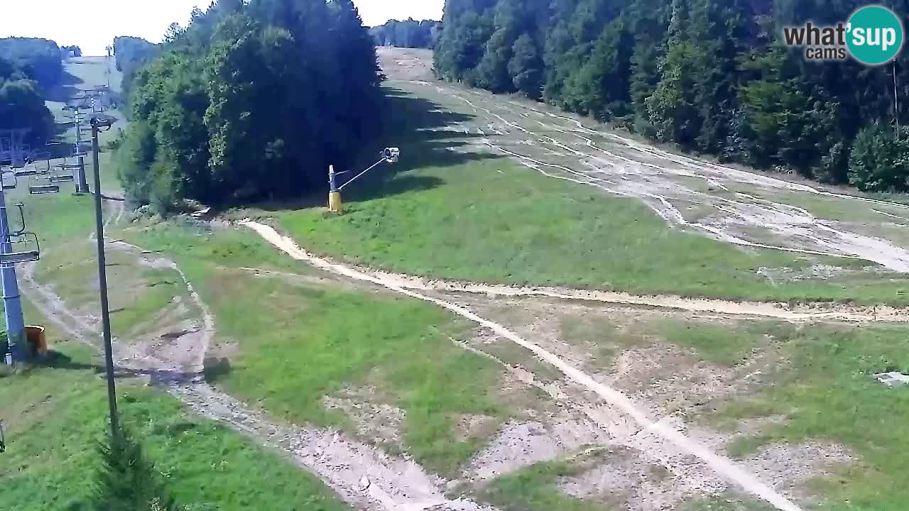 Web Camera Pohorje Trikotna Jasa | Poštela