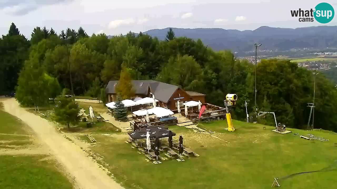 Webcam Pohorje Trikotna Jasa | Poštela