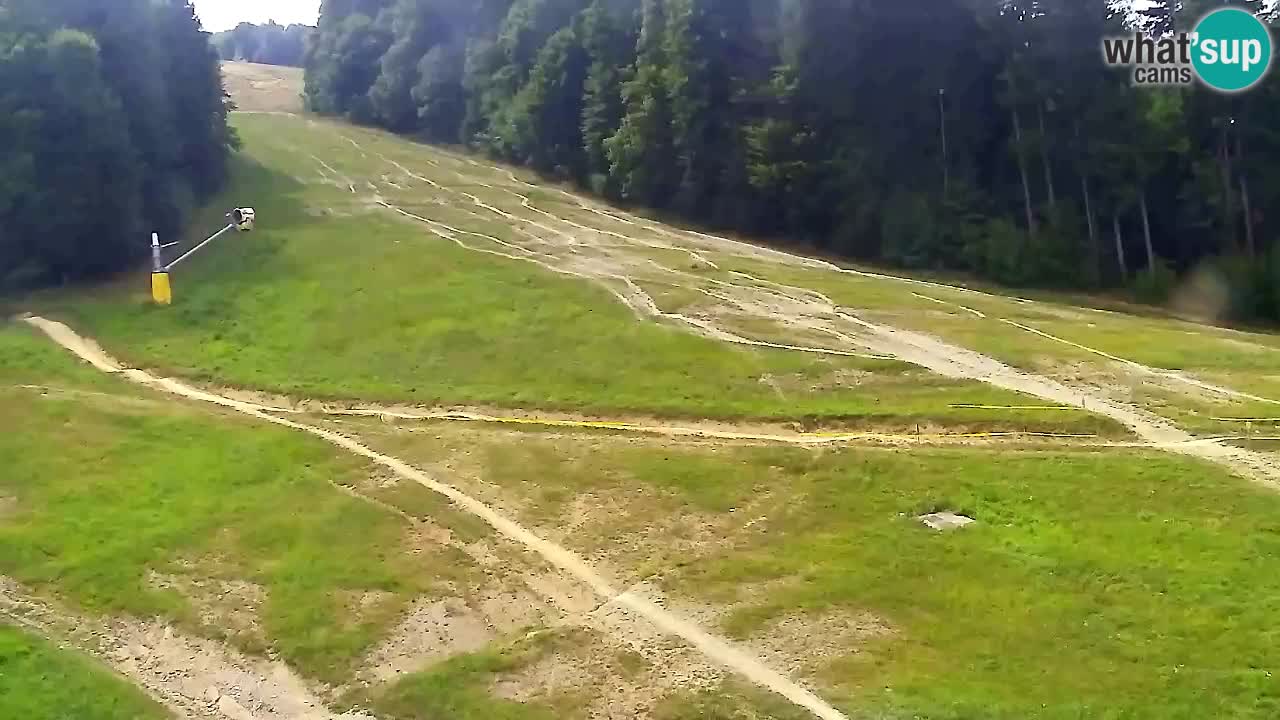 Web Camera Pohorje Trikotna Jasa | Poštela