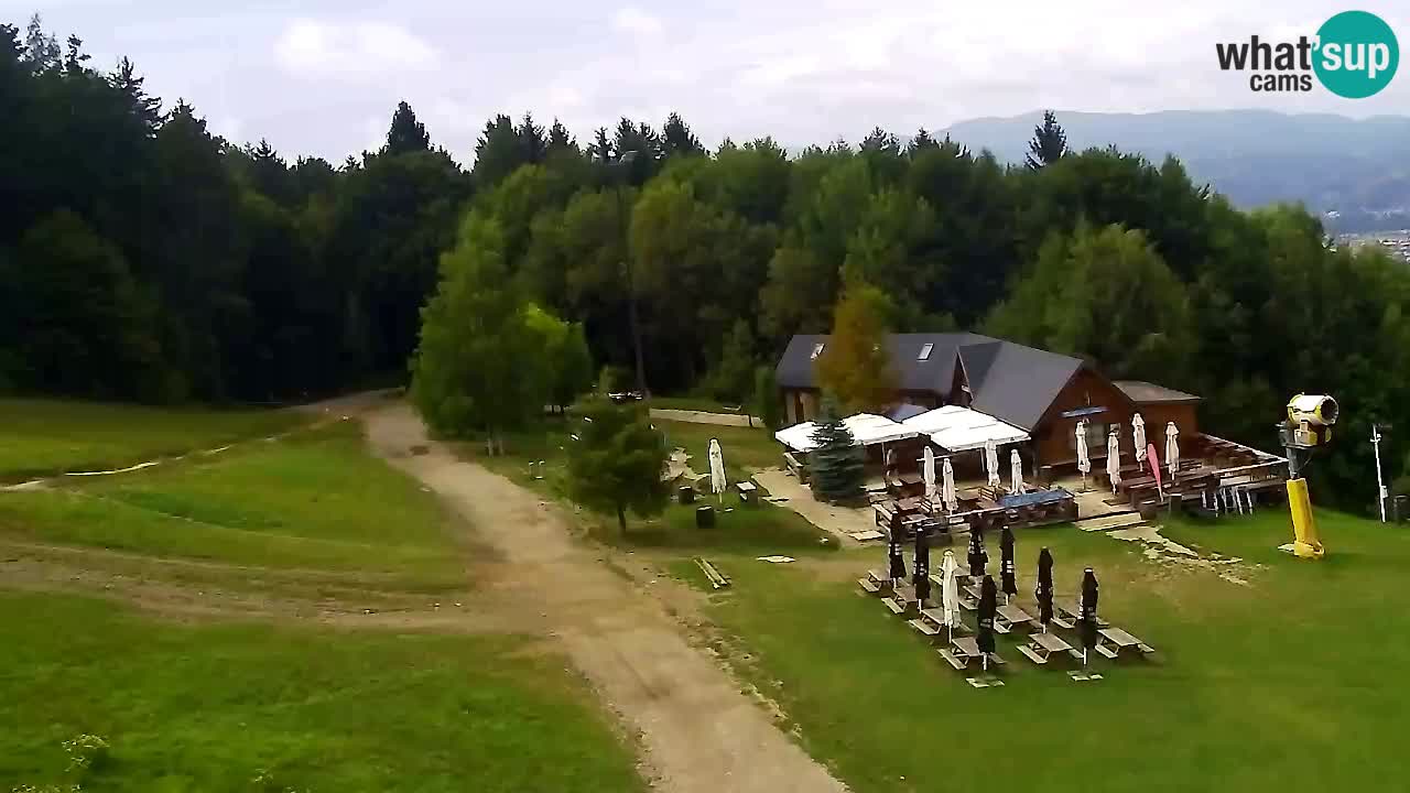 Web Camera Pohorje Trikotna Jasa | Poštela