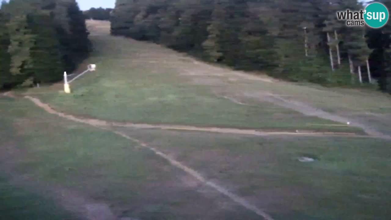 Webcam Pohorje Trikotna Jasa | Poštela