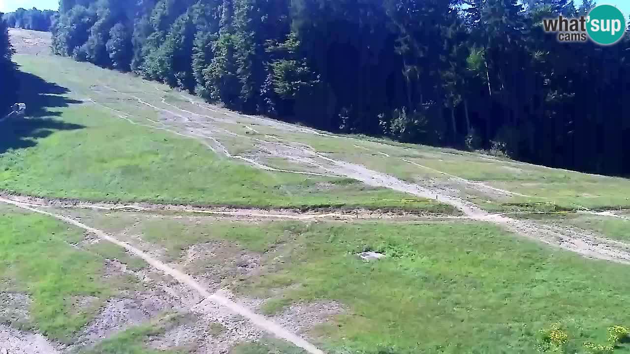 Webcam Pohorje Trikotna Jasa | Poštela