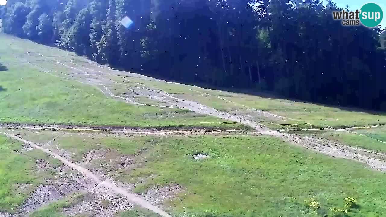 Webcam Pohorje Trikotna Jasa | Poštela