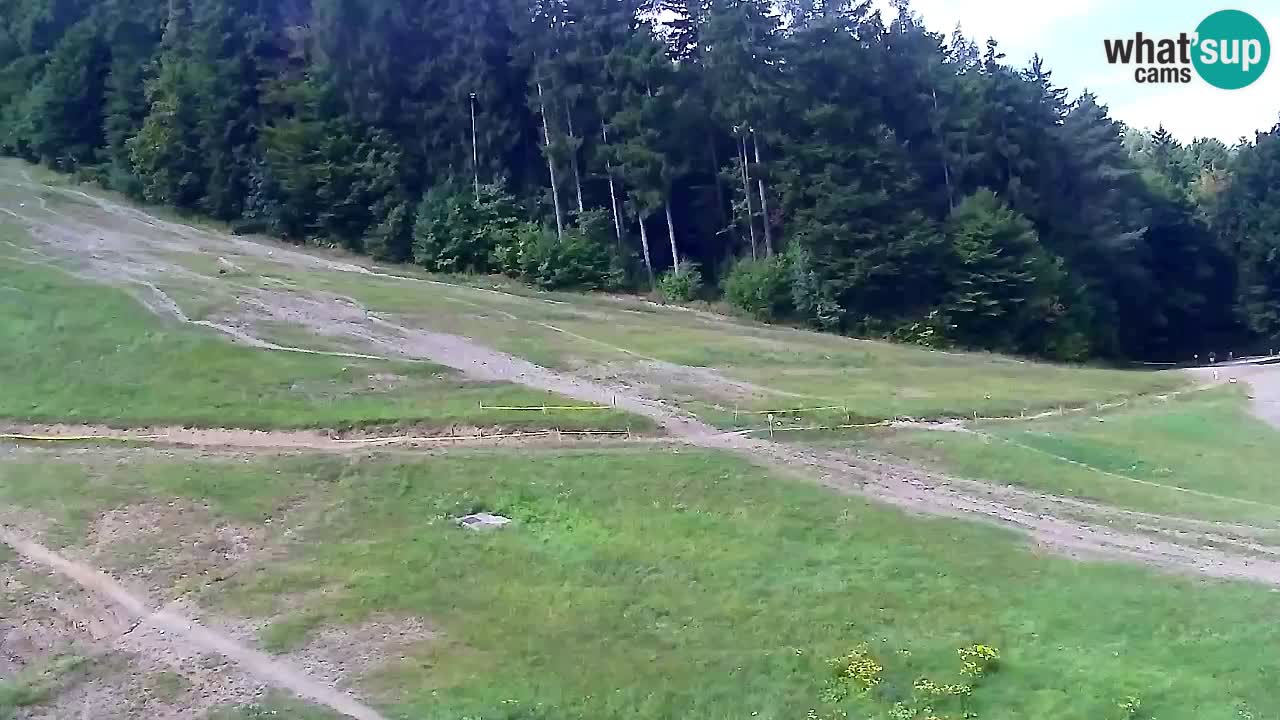 Web Camera Pohorje Trikotna Jasa | Poštela