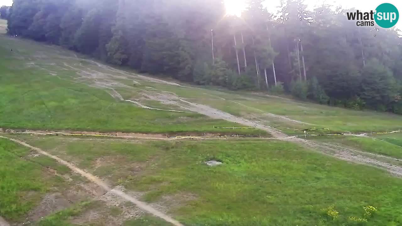 Webcam Pohorje Trikotna Jasa | Poštela