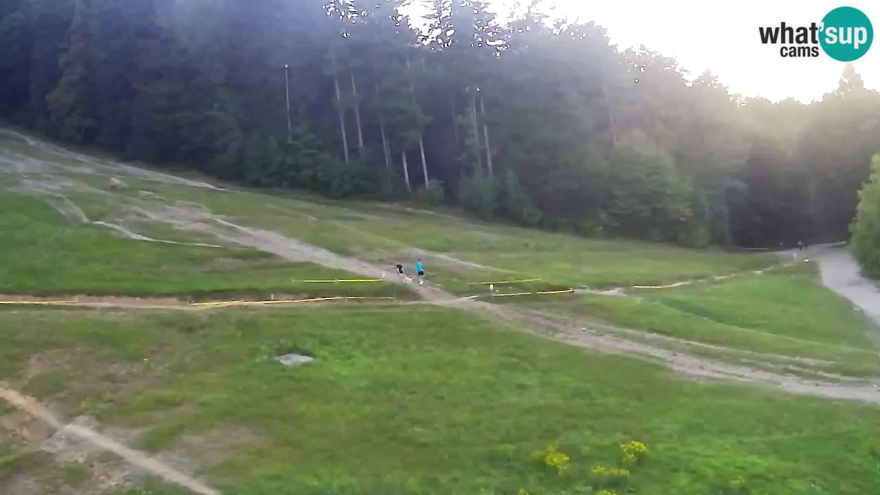 Webcam Pohorje Trikotna Jasa | Poštela