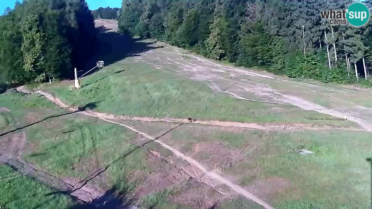 Spletna Kamera Pohorje Trikotna Jasa | Poštela