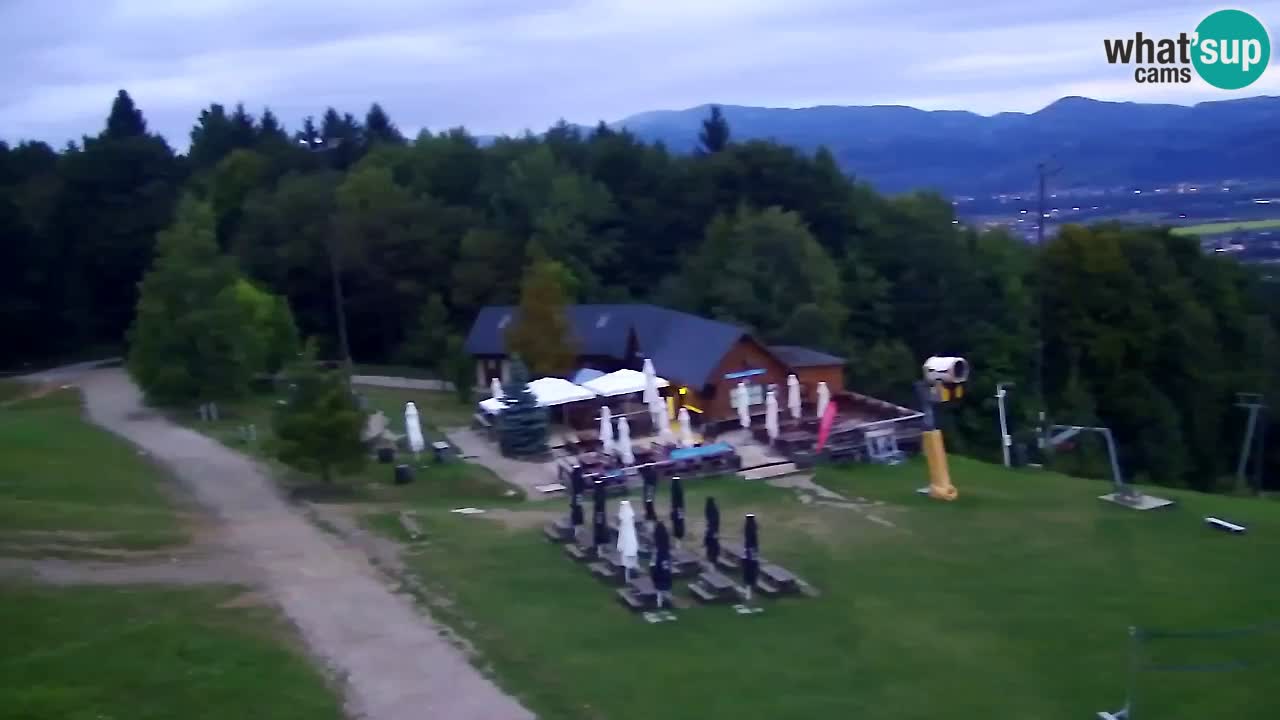 Webcam Pohorje Trikotna Jasa | Poštela