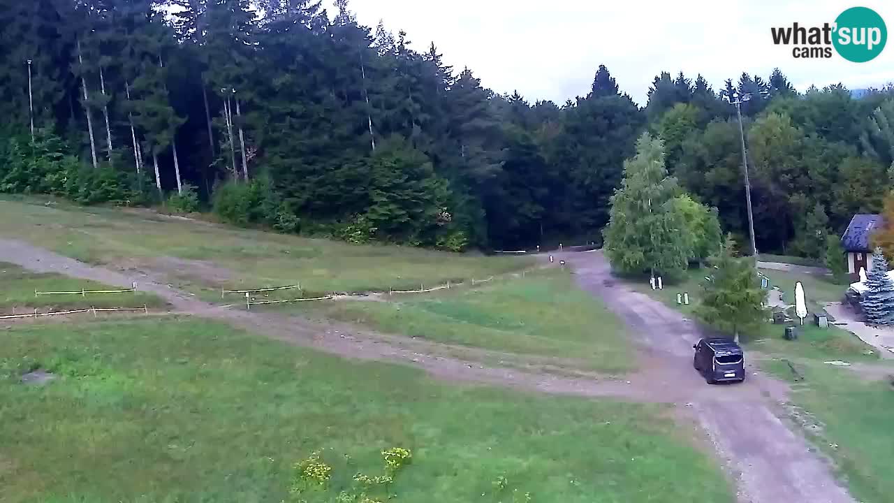 Webcam Pohorje Trikotna Jasa | Poštela