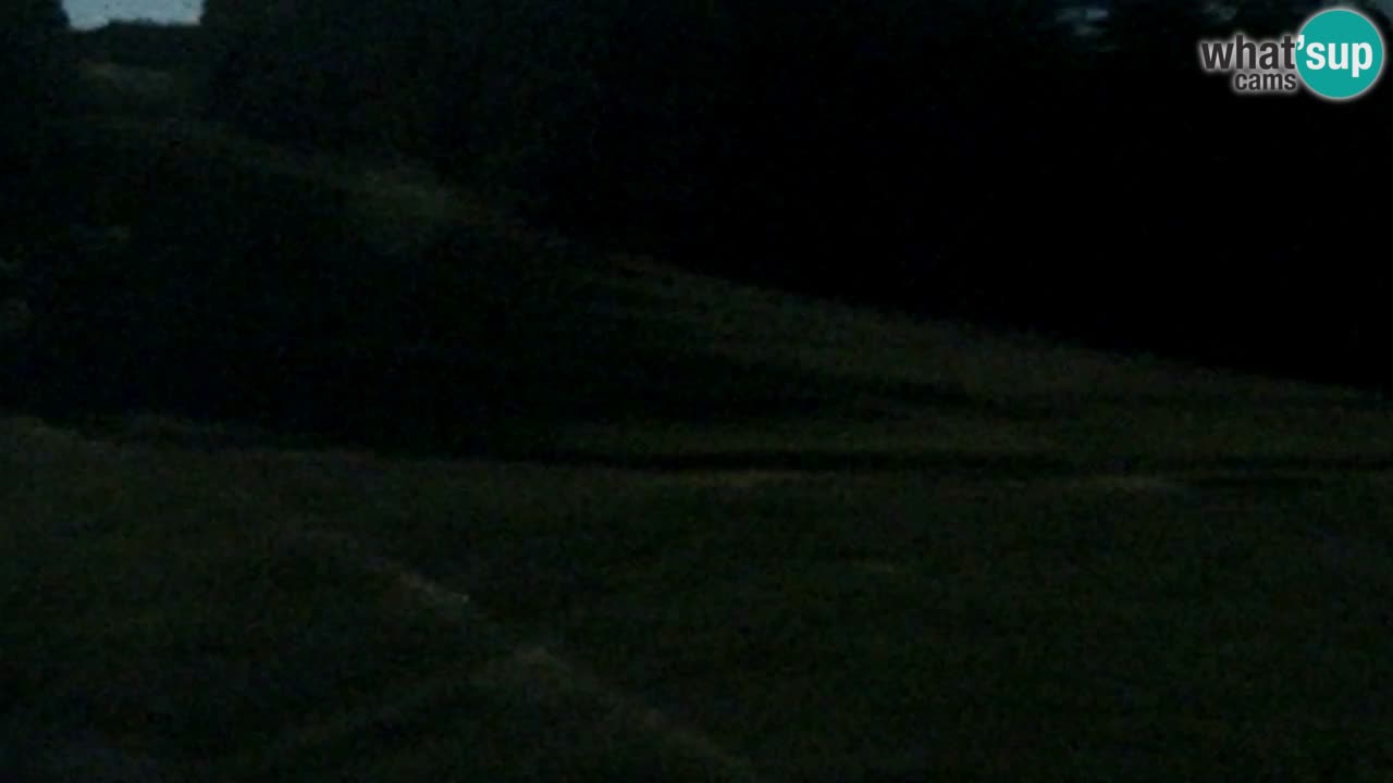 Webcam Pohorje Trikotna Jasa | Poštela