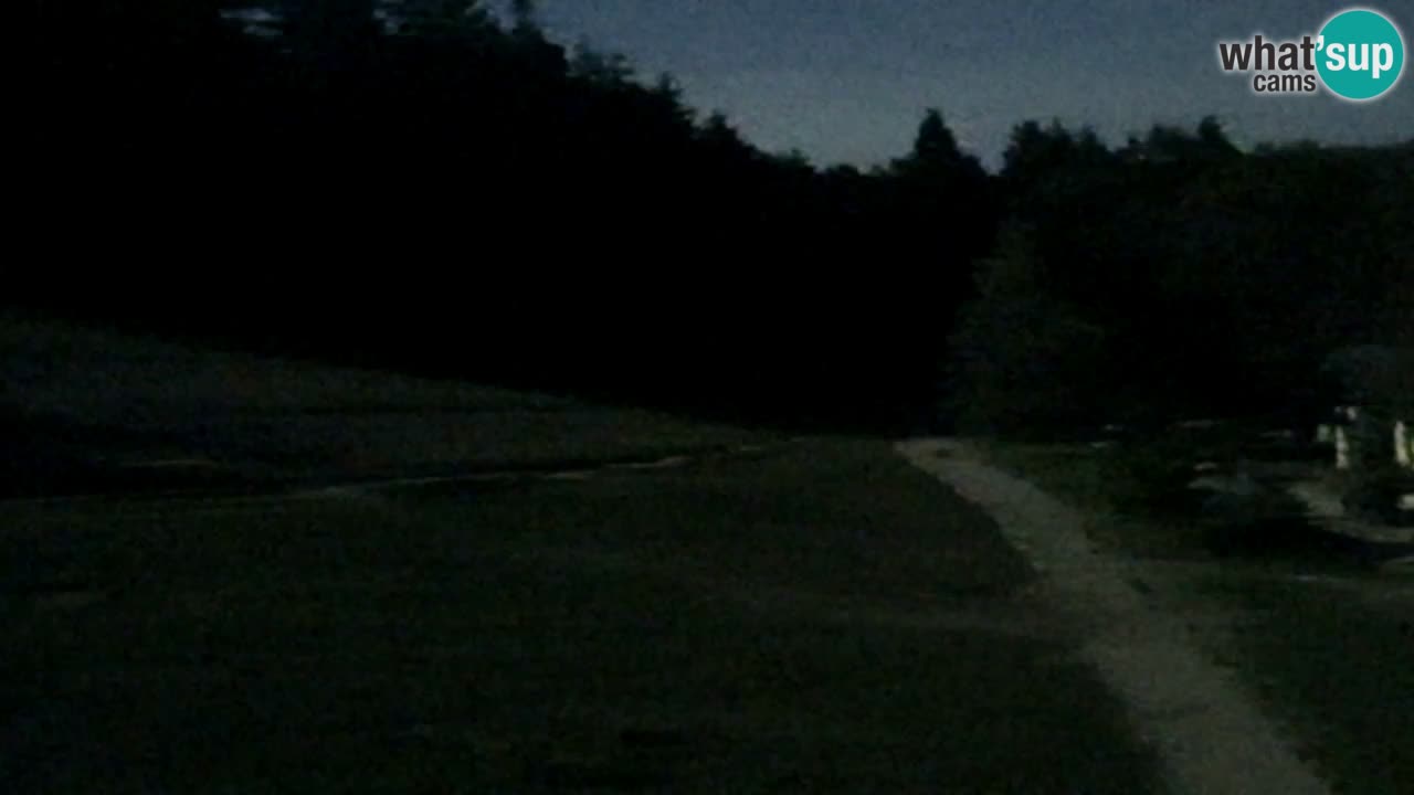 Web Camera Pohorje Trikotna Jasa | Poštela
