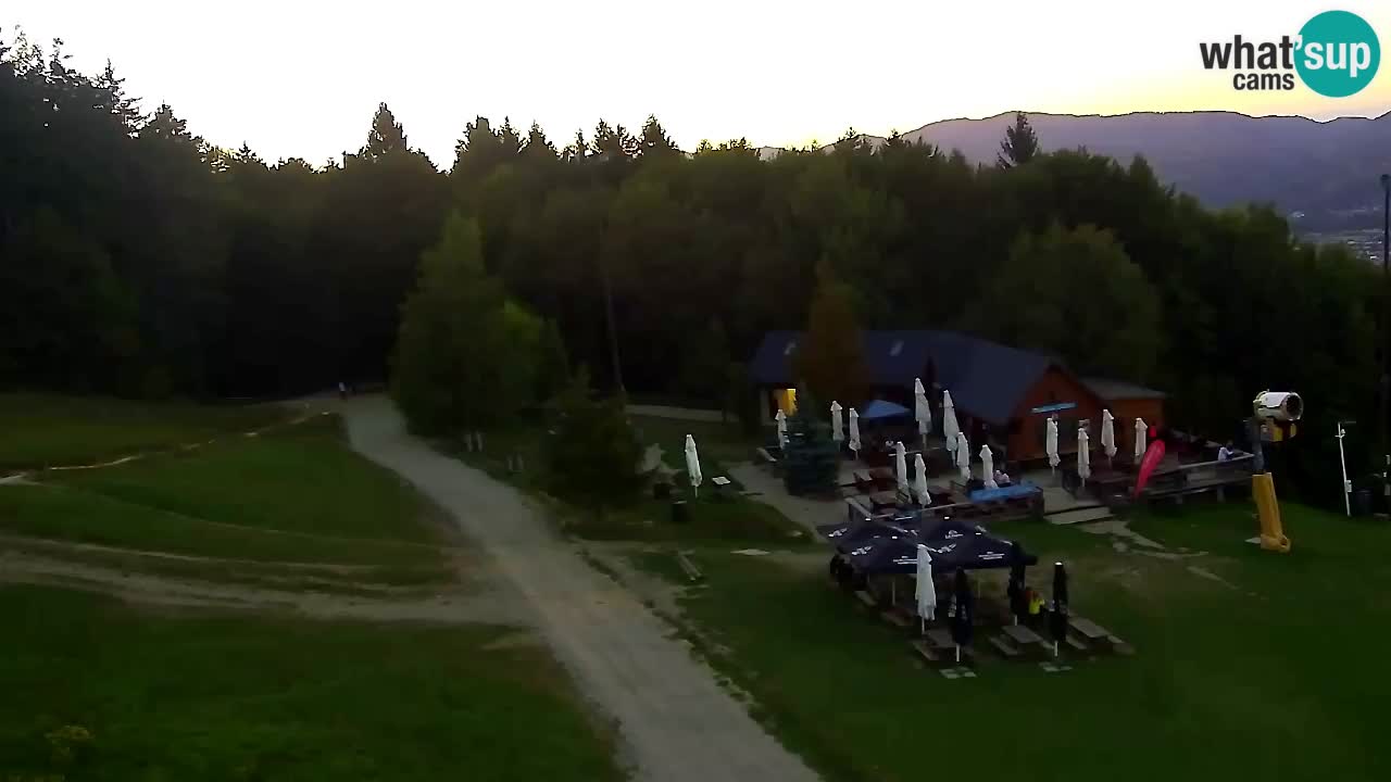 Webcam Pohorje Trikotna Jasa | Poštela