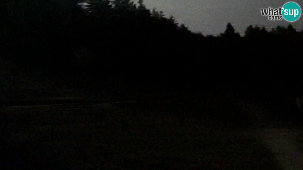 Spletna Kamera Pohorje Trikotna Jasa | Poštela