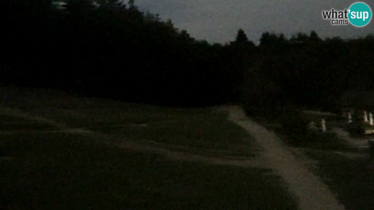 Webcam Pohorje Trikotna Jasa | Poštela
