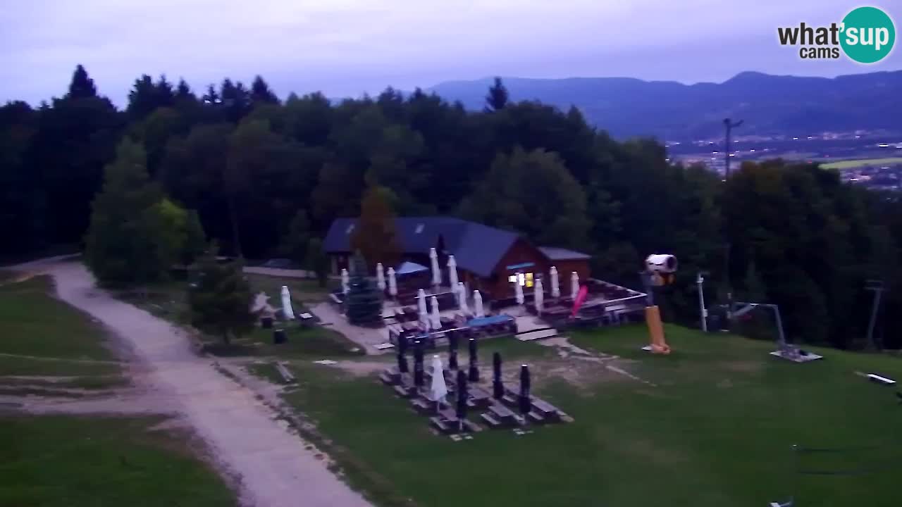 Webcam Pohorje Trikotna Jasa | Poštela
