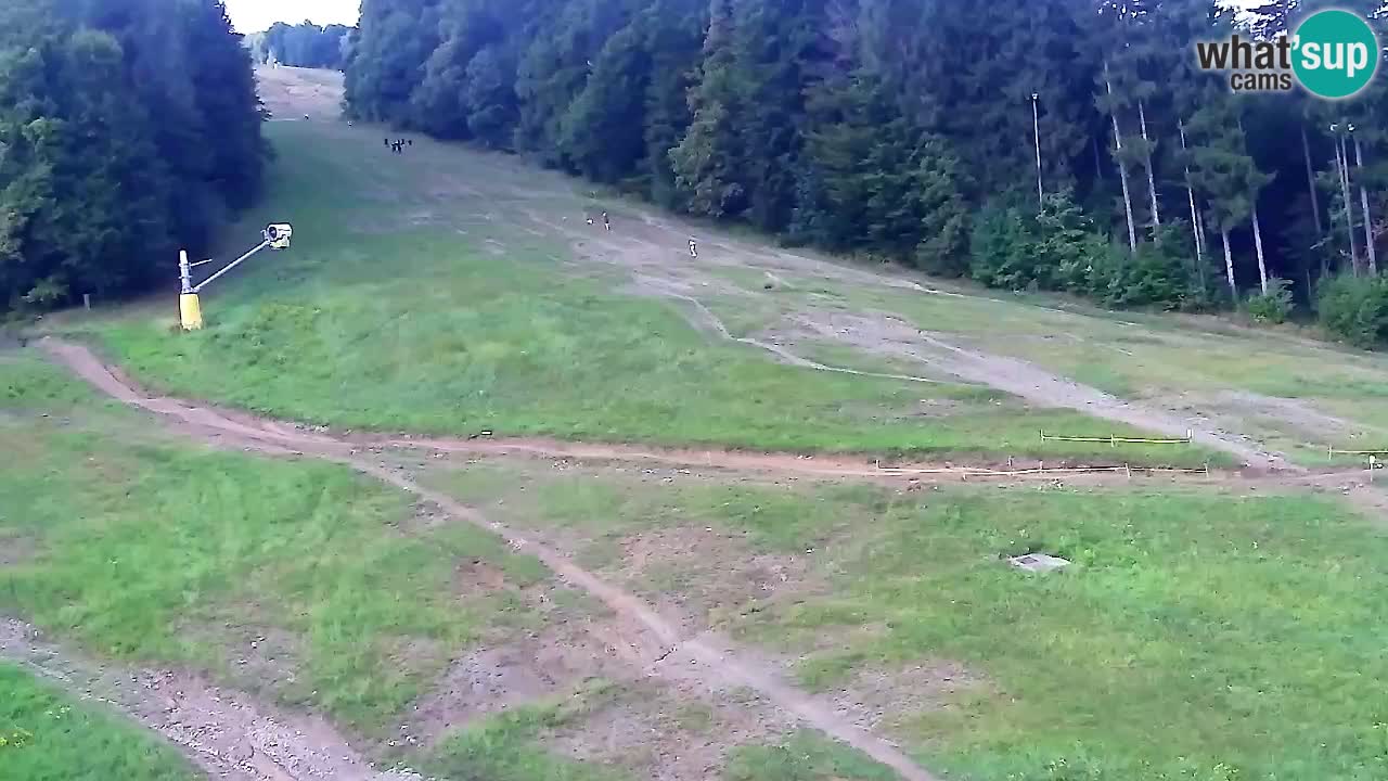Webcam Pohorje Trikotna Jasa | Poštela