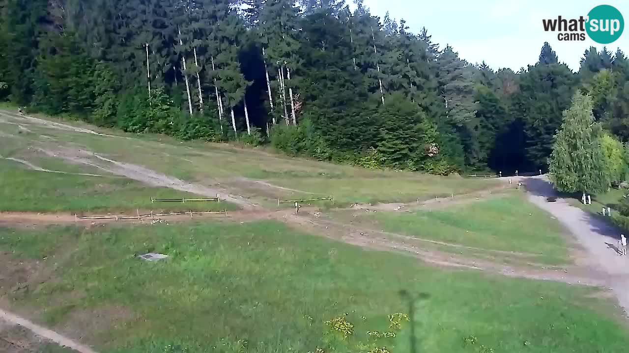 Spletna Kamera Pohorje Trikotna Jasa | Poštela