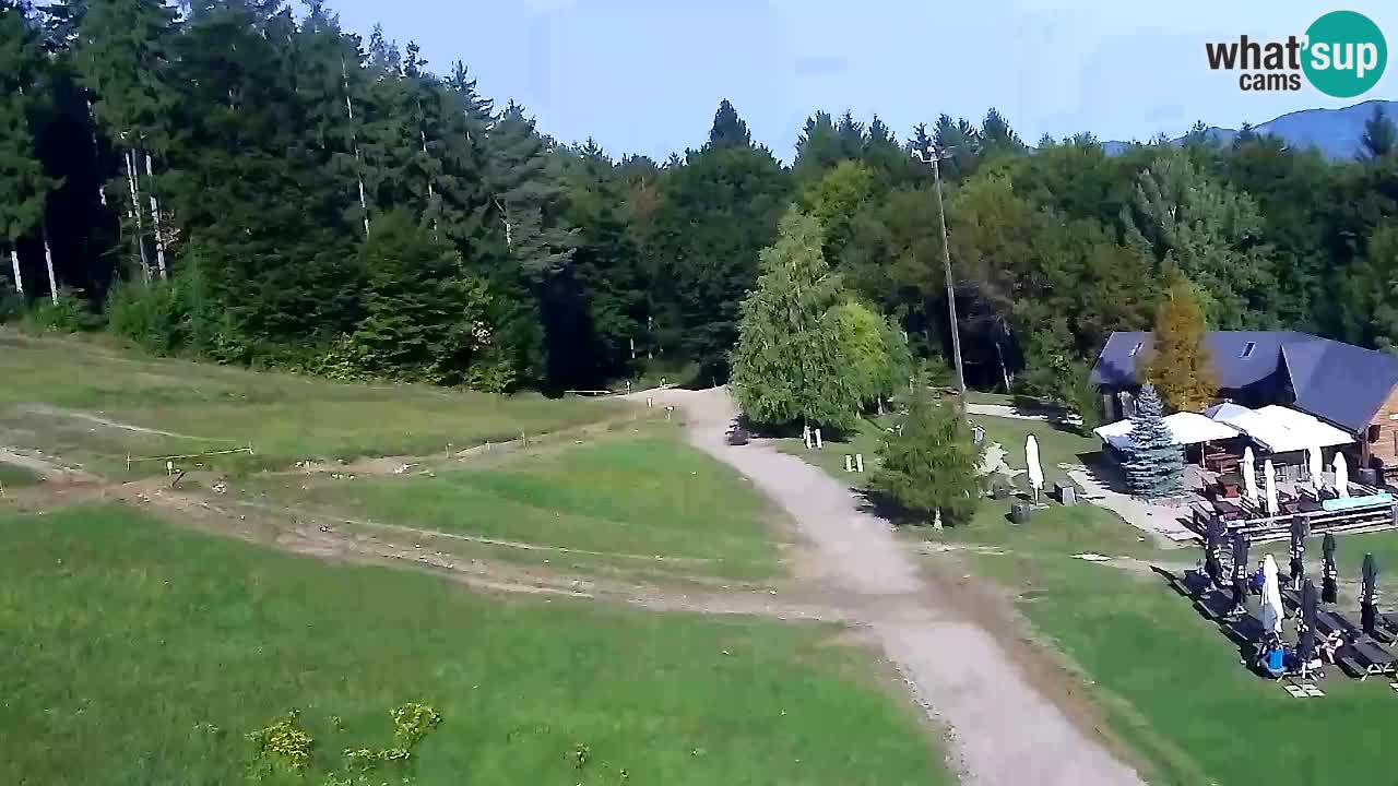Web Camera Pohorje Trikotna Jasa | Poštela