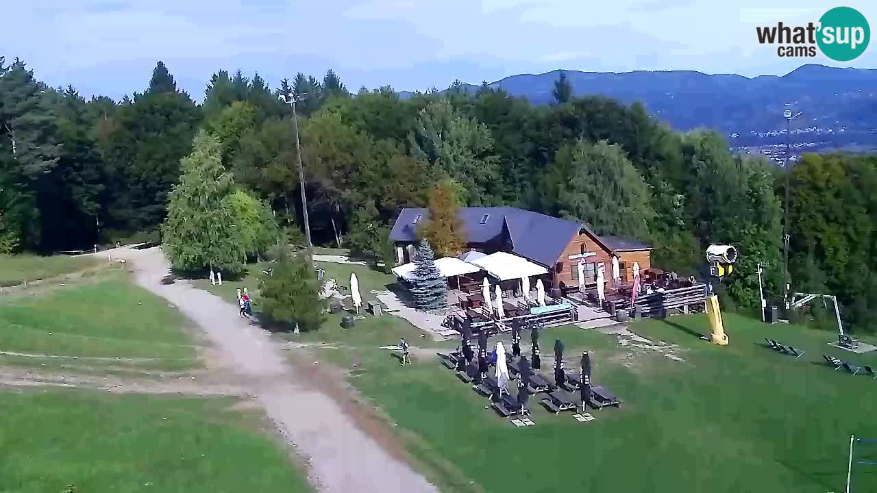 Web Camera Pohorje Trikotna Jasa | Poštela