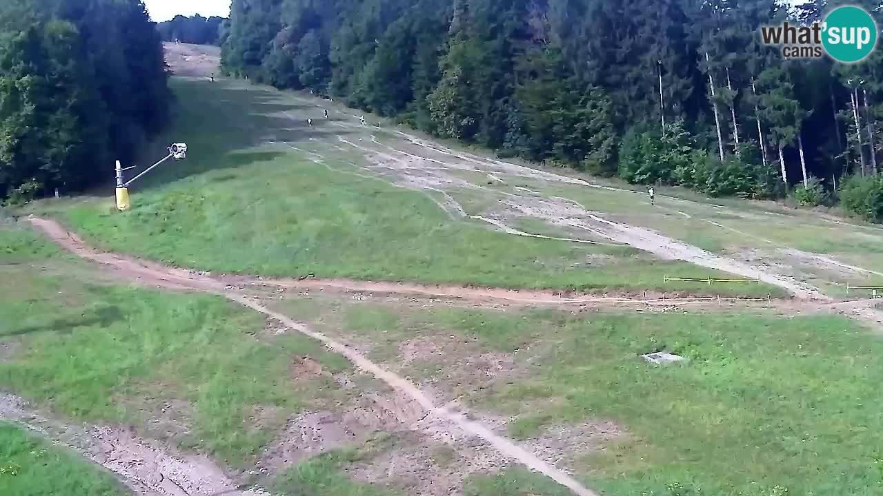 Web Camera Pohorje Trikotna Jasa | Poštela